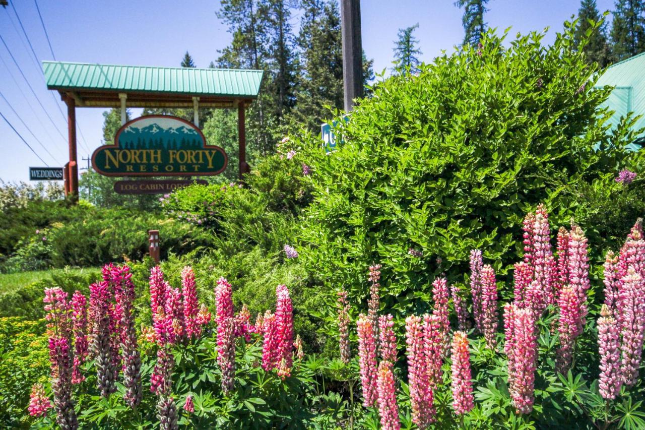 North Forty Resort Columbia Falls Εξωτερικό φωτογραφία
